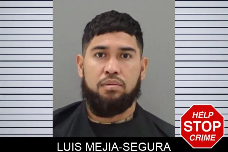 Luis Mejia-Segura