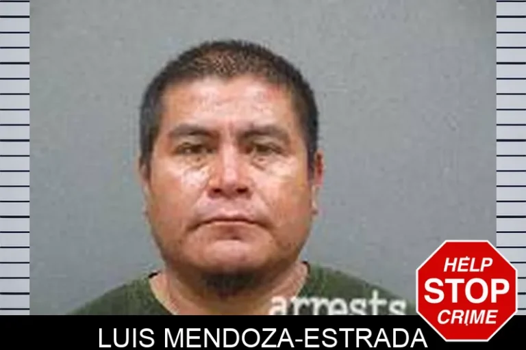 Luis Mendoza-Estrada