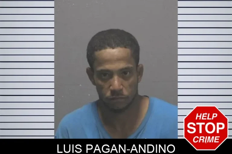 Luis Pagan-Andino