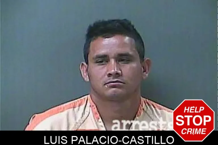 Luis Palacio-Castillo