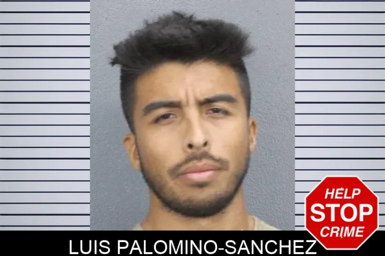 Luis Palomino-Sanchez