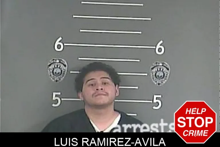 Luis Ramirez-Avila