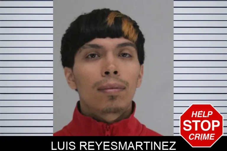 Luis Reyesmartinez