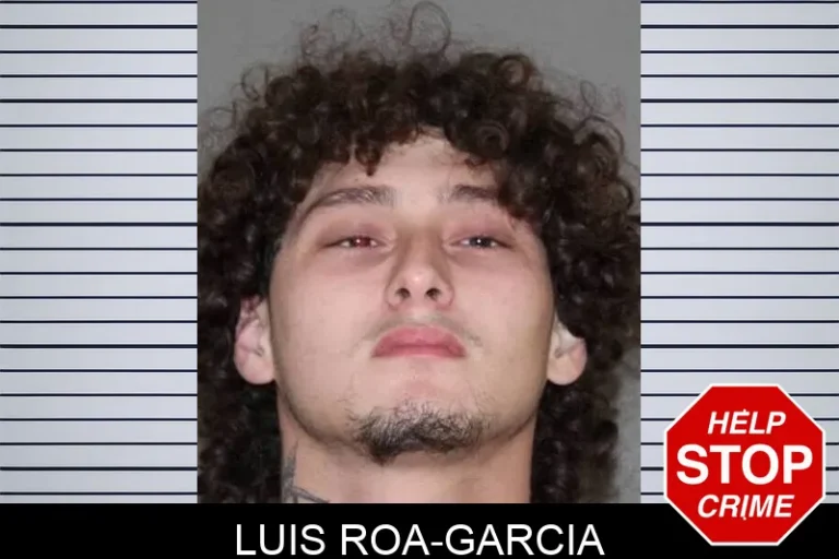 Luis Roa-Garcia