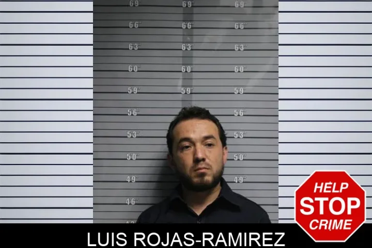 Luis Rojas-Ramirez