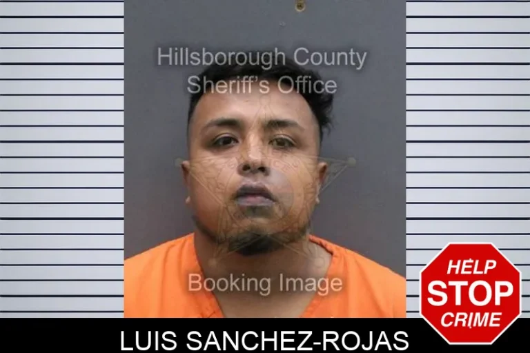 Luis Sanchez-Rojas