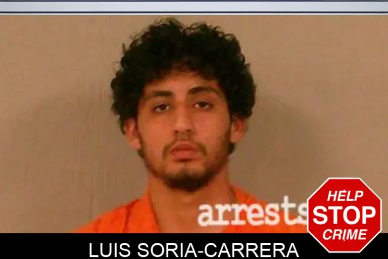 Luis Soria-Carrera