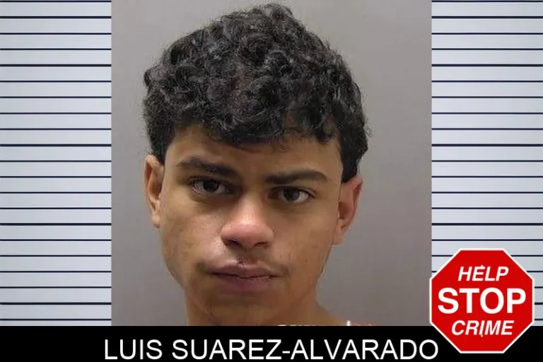 Luis Suarez-Alvarado