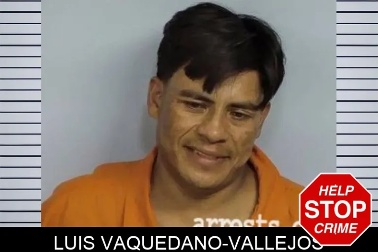 Luis Vaquedano-Vallejos