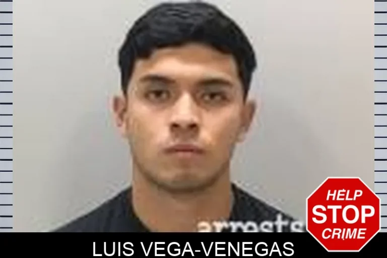 Luis Vega-Venegas