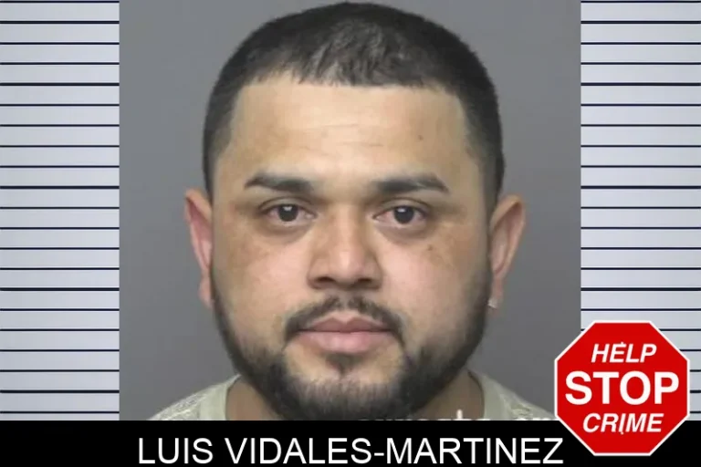 Luis Vidales-Martinez