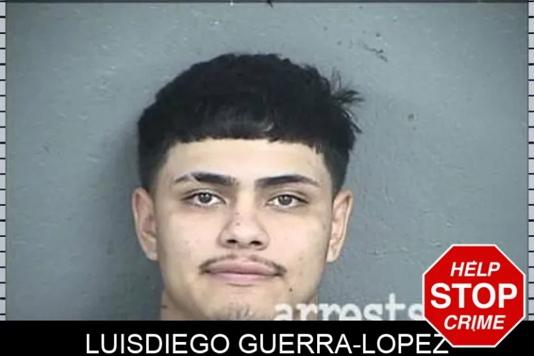 LuisDiego Guerra-Lopez