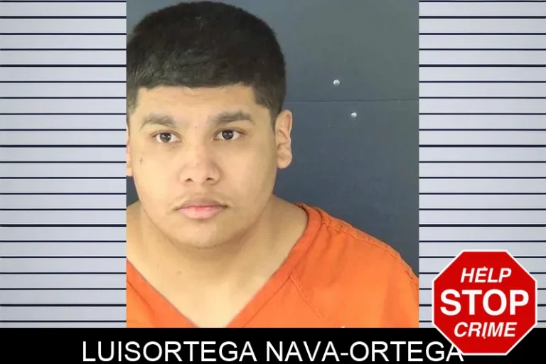 LuisOrtega Nava-Ortega