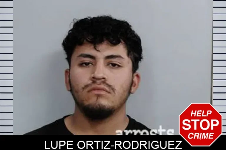 Lupe Ortiz-Rodriguez