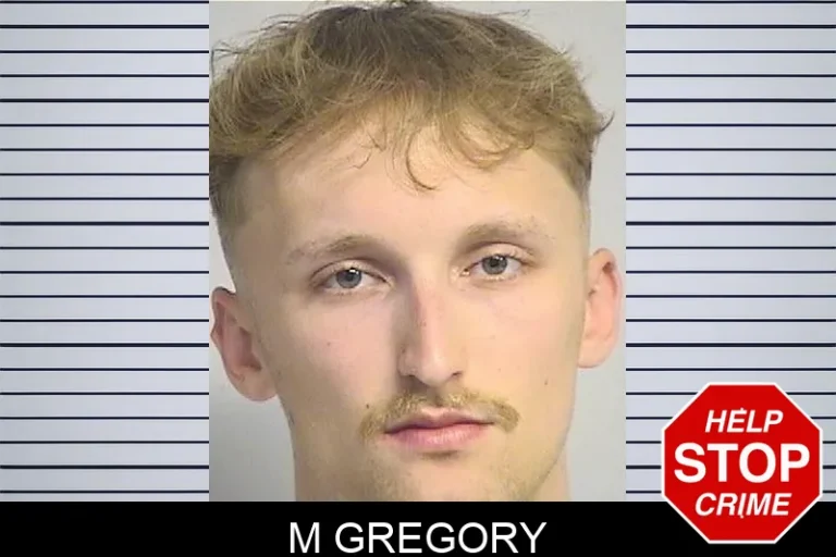 M Gregory
