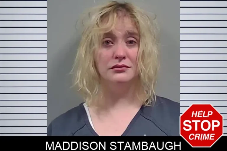 Maddison Stambaugh