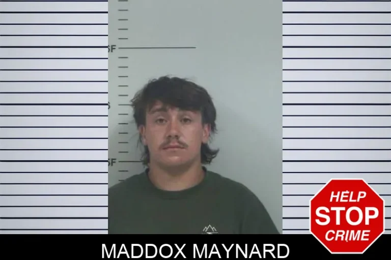 Maddox Maynard