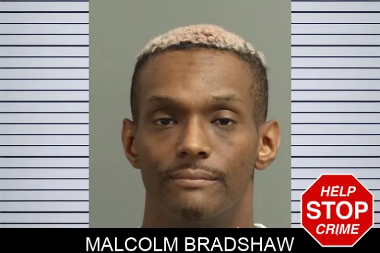 Malcolm Bradshaw