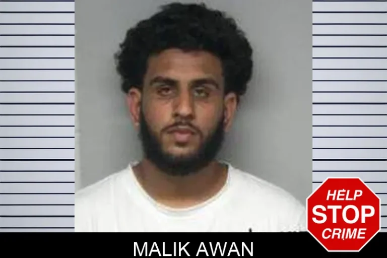 Malik Awan