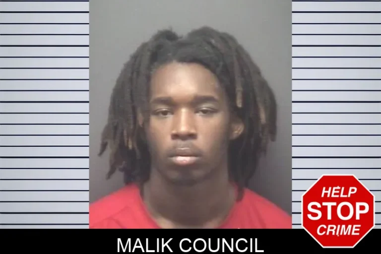 Malik Council