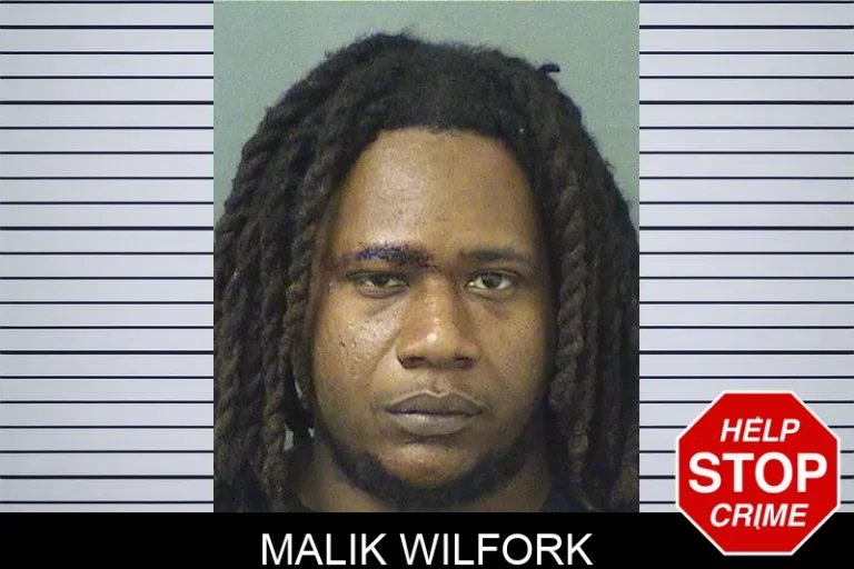 Malik Wilfork