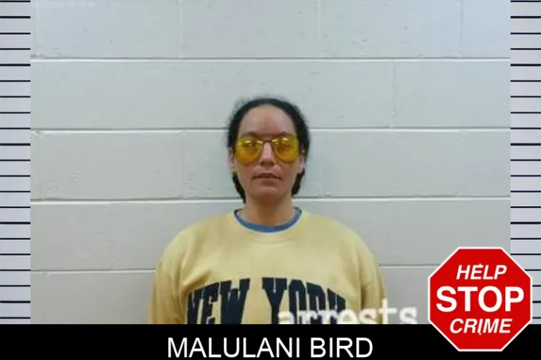 Malulani Bird