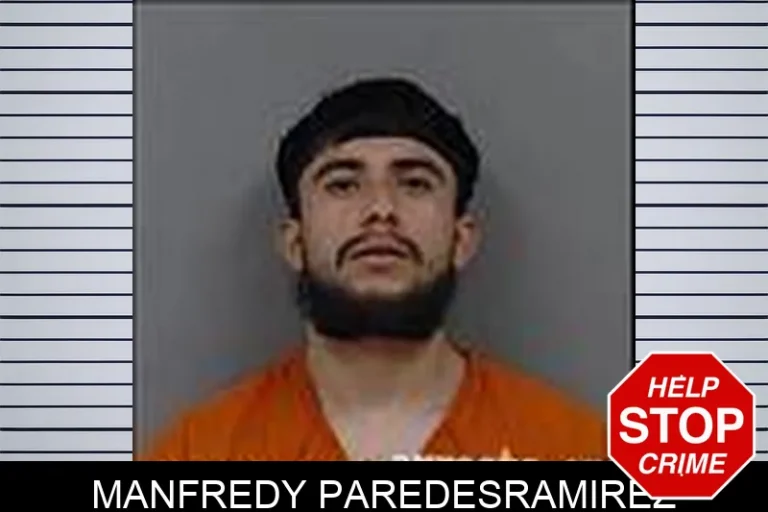 Manfredy Paredesramirez