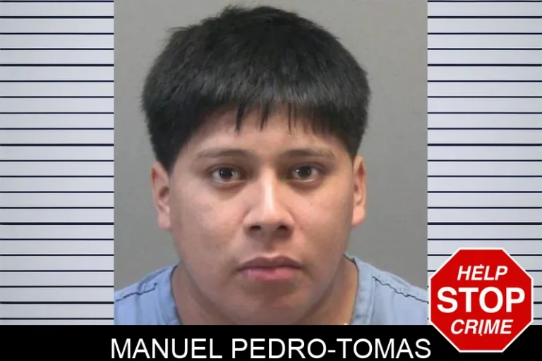 Manuel Pedro-Tomas