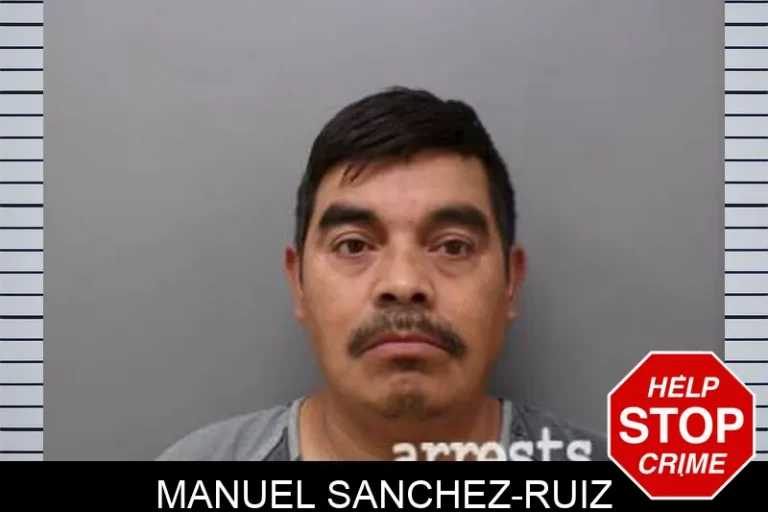 Manuel Sanchez-Ruiz