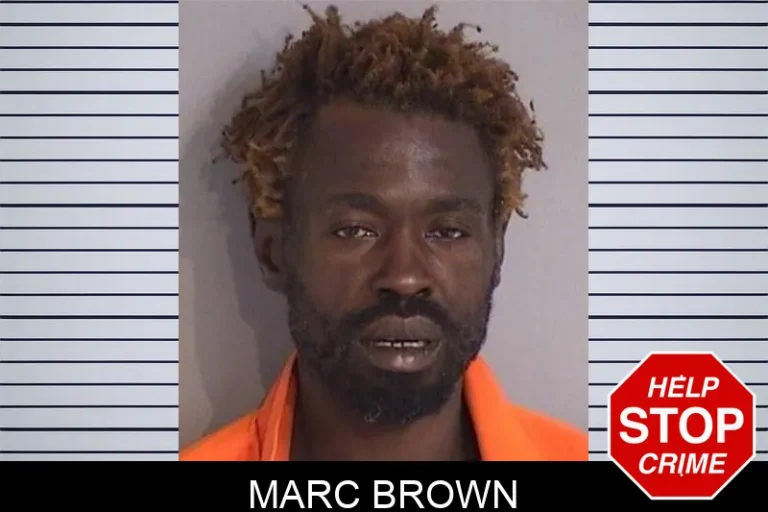 Marc Brown