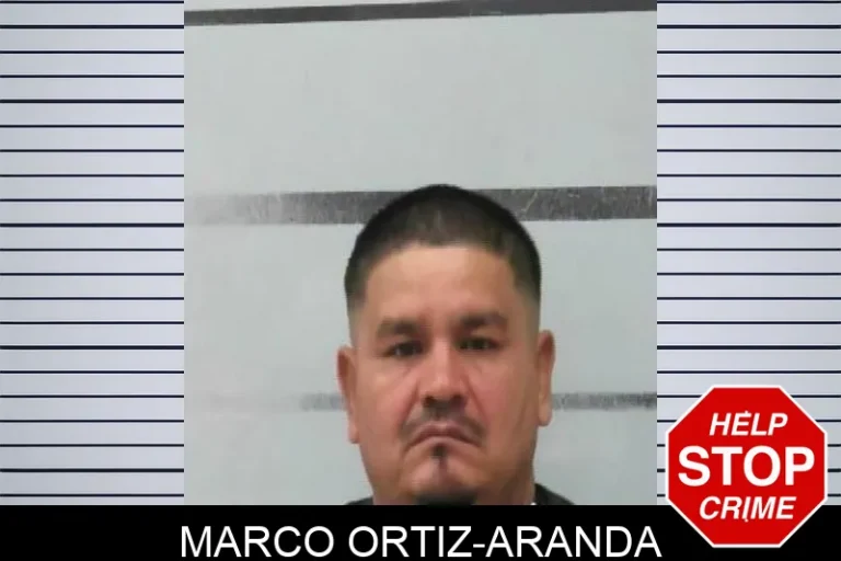 Marco Ortiz-Aranda