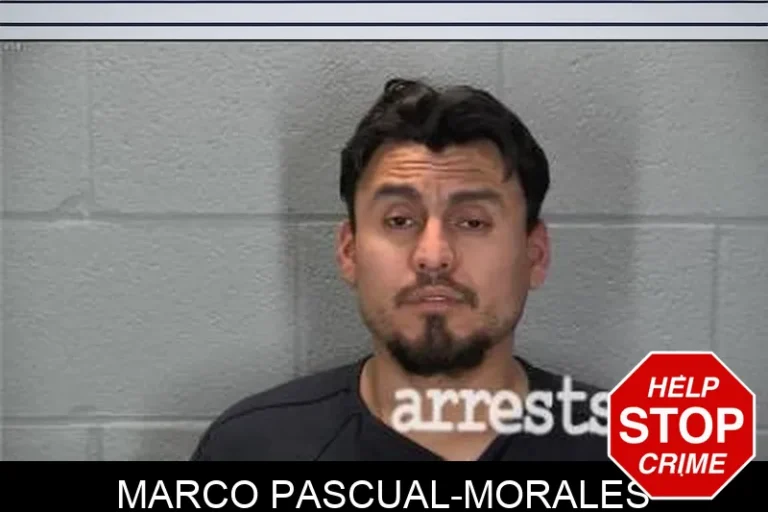 Marco Pascual-Morales