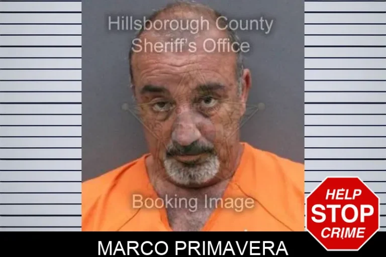 Marco Primavera