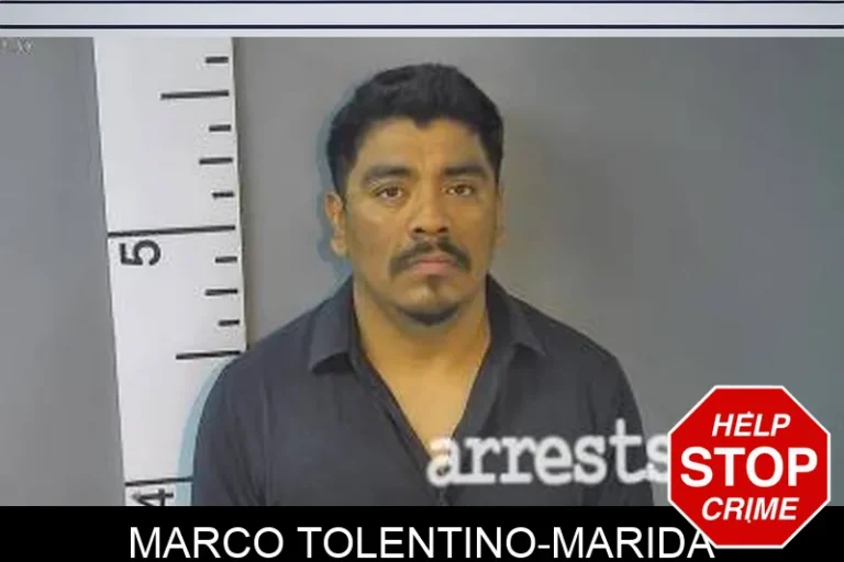 Marco Tolentino-Marida