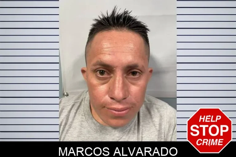 Marcos Alvarado
