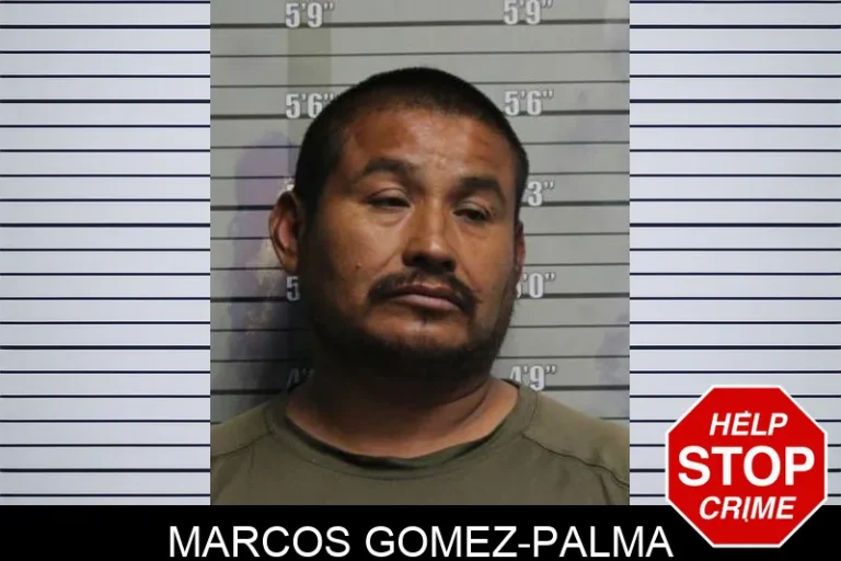 Marcos Gomez-Palma
