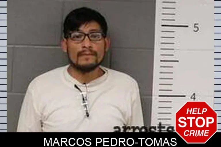 Marcos Pedro-Tomas