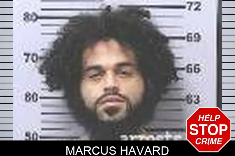 Marcus Havard