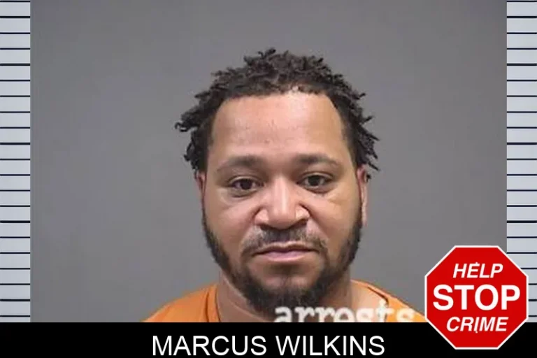 Marcus Wilkins
