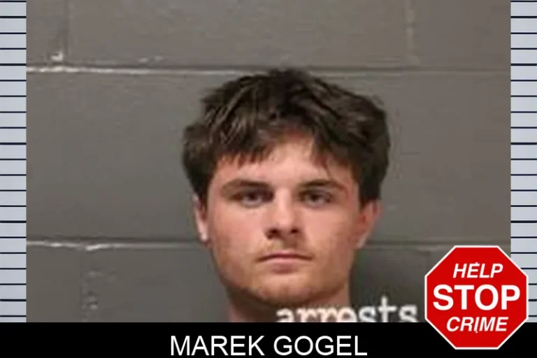 Marek Gogel