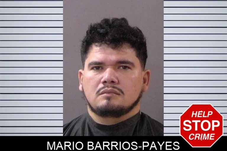 Mario Barrios-Payes