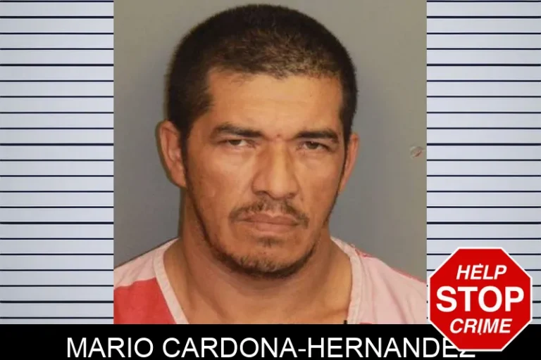 Mario Cardona-Hernandez