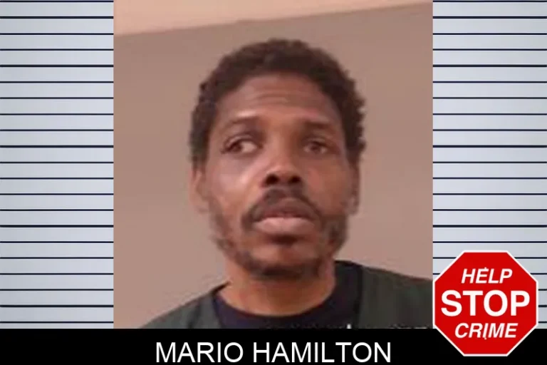 Mario Hamilton