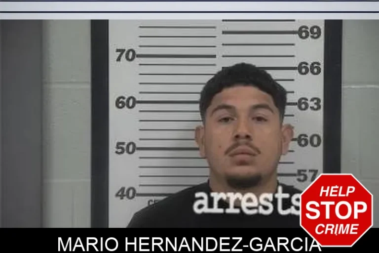 Mario Hernandez-Garcia