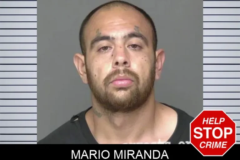 Mario Miranda