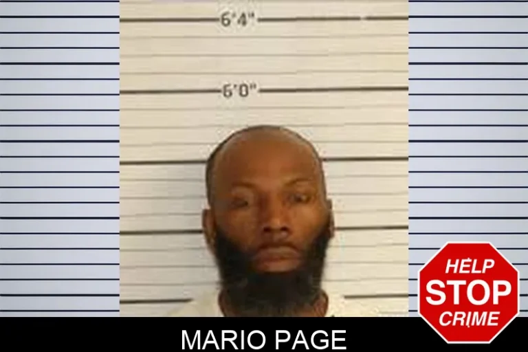 Mario Page