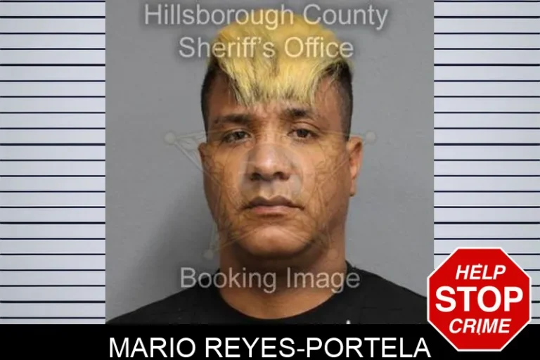 Mario Reyes-Portela