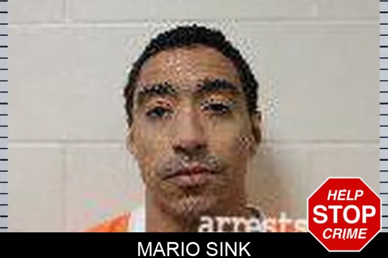 Mario Sink