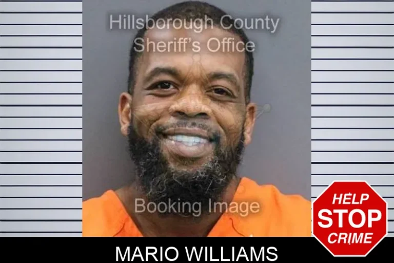 Mario Williams
