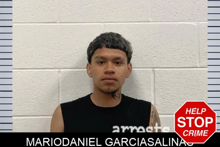 MarioDaniel GarciaSalinas